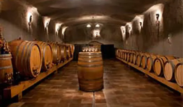 BODEGAS
